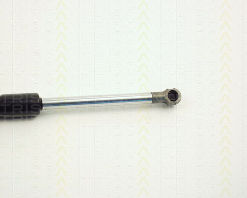 Triscan Trunk Shock Absorber 8710 11208