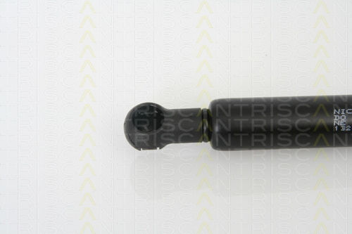 Triscan Trunk Shock Absorber 8710 13267