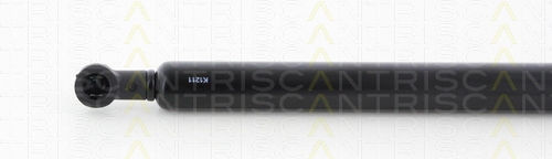 Triscan 8710 25256 Trunk Shock Absorber