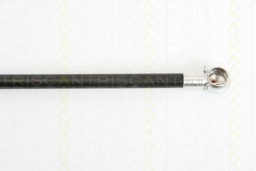 Triscan 8710 16241 Trunk Shock Absorber