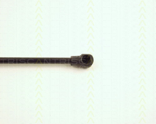 Triscan 8710 28221 Trunk Shock Absorber
