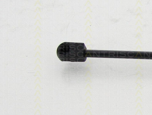 Triscan 8710 292032 Trunk Shock Absorber