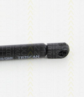 Triscan 8710 25262 Kofferraum-Schock