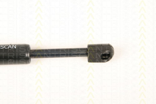 Triscan Hood Shock Absorber 8710 28105