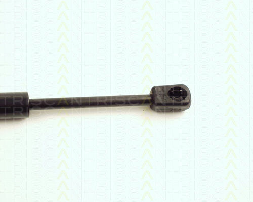 Triscan Hood Shock Absorber 8710 16104