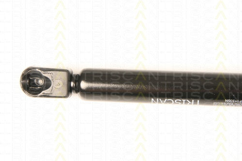 Triscan Амортисьор За Багажник 8710 50244