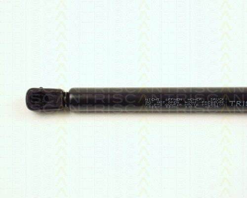 Triscan 8710 16230 Trunk Shock Absorber