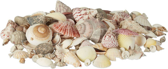 Dekorative Muscheln Relaxdays 1 Kg Mehrfarbig 3x11 Cm