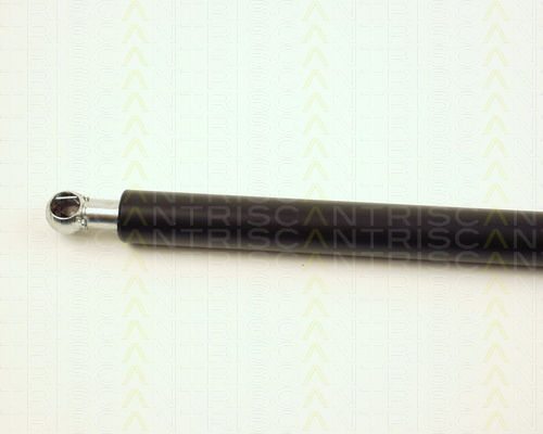 Triscan 8710 25220 Trunk Shock Absorber