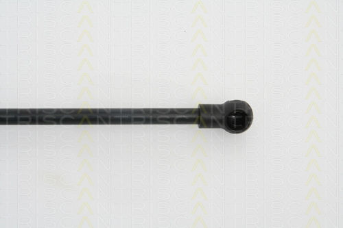 Triscan 8710 29253 Trunk Shock Absorber
