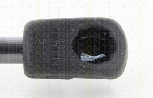 Triscan Амортисьор За Багажник 8710 43241