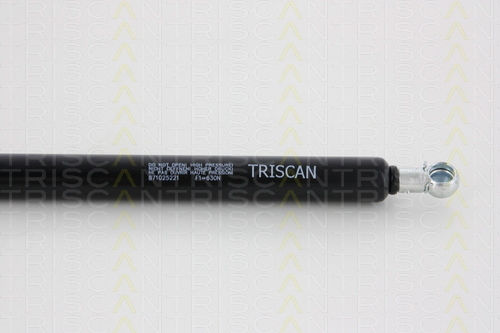 Triscan Амортисьор За Багажник 8710 25221
