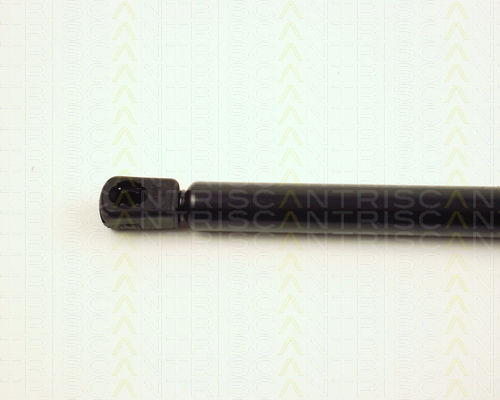 Triscan 8710 16227 Trunk Shock Absorber