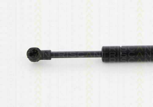 Triscan 8710 29298 Trunk Shock Absorber