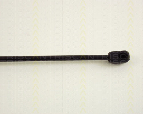 Triscan 8710 29225 Trunk Shock Absorber