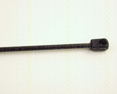 Triscan 8710 24206 Trunk Shock Absorber