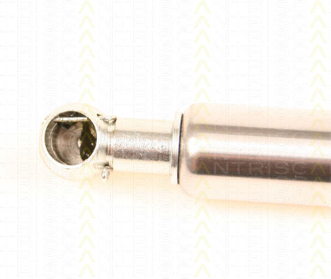 Triscan 8710 29250 Trunk Shock Absorber