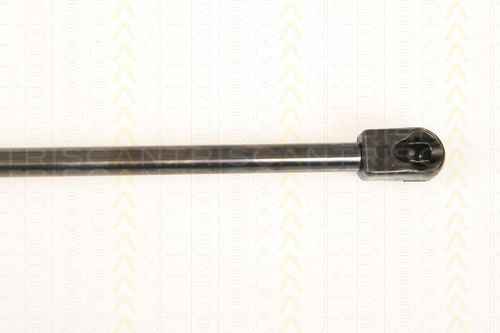 Triscan 8710 29289 Trunk Shock Absorber