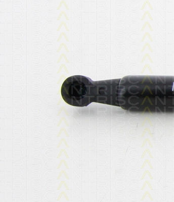 Triscan 8710 38231 Kofferraum-Schockabsorber