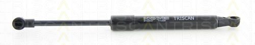 Triscan Hood Shock Absorber 8710 25107
