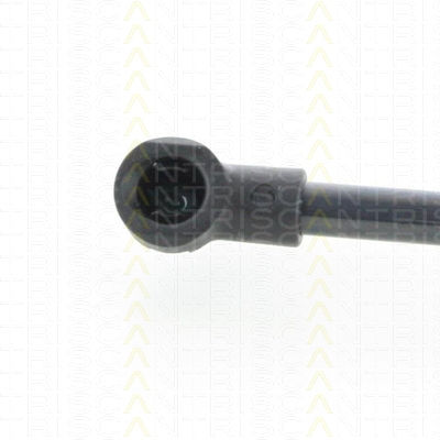 Triscan Hood Shock Absorber 8710 25107