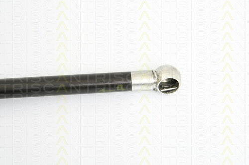 Triscan Hood Shock Absorber 8710 23108