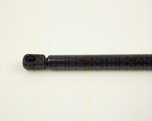 Triscan 8710 24225 Trunk Shock Absorber