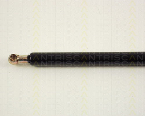 Triscan 8710 16206 Amortizor Portbagaj