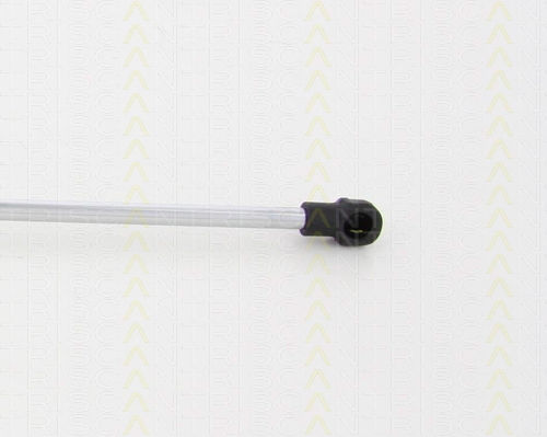 Triscan 8710 17216 Trunk Shock Absorber