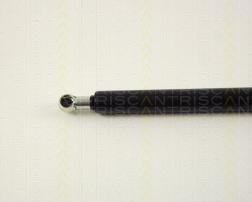 Triscan Trunk Shock Absorber 8710 29237
