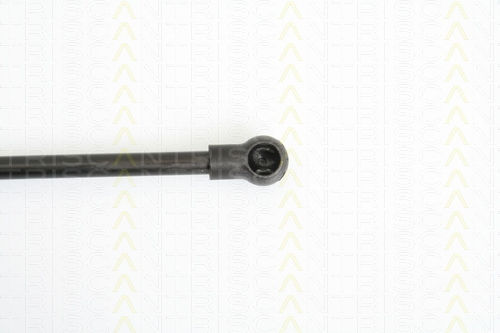 Triscan 8710 11227 Trunk Shock Absorber