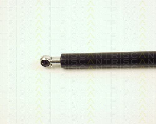 Triscan 8710 28218 Амортисьор За Багажник