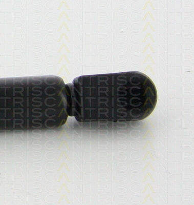 Triscan 8710 67206 Kofferraum-Schock