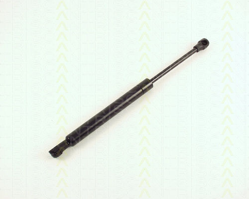 Triscan Kofferraum-Schock 8710 16231
