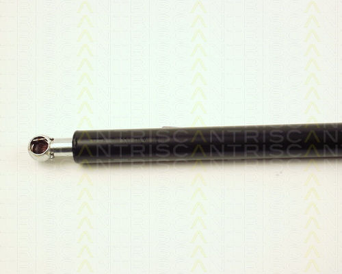 Triscan 8710 27209 Trunk Shock Absorber