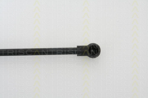 Triscan 8710 29258 Амортисьор За Багажник