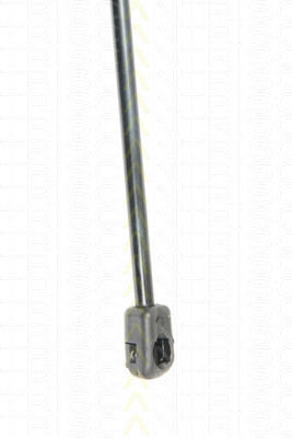 Triscan Trunk Shock Absorber 8710 67210