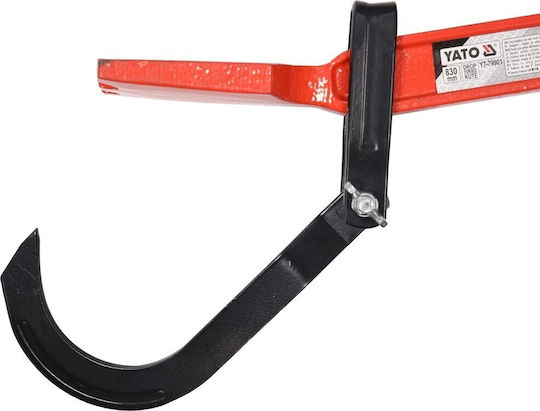 D? Wignia Hook Reversing Trunks