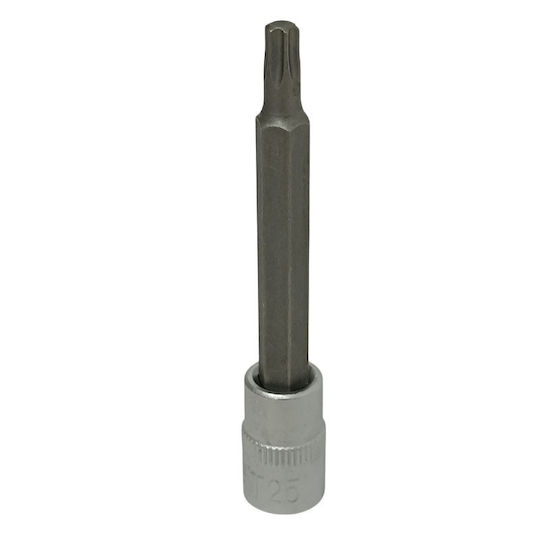 SKS Tools Spritzfilter Wasserhahn Bit-Stecknuss mit Inbusschlüssel-Bit und Antriebsvierkant 1/4'' 1Stück