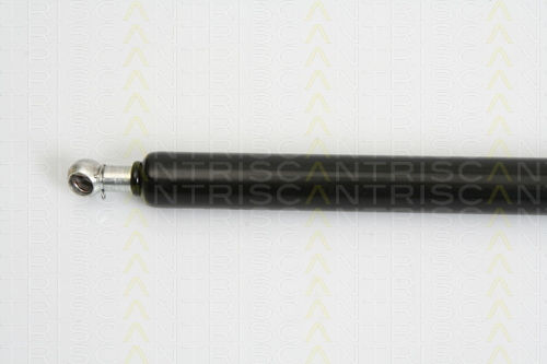 Triscan 8710 16245 Trunk Shock Absorber