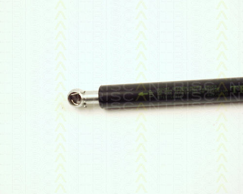 Triscan 8710 16216 Trunk Shock Absorber