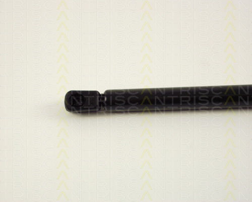 Triscan 8710 29248 Trunk Shock Absorber