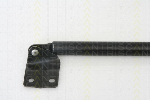 Triscan 8710 69216 Kofferraum-Schock