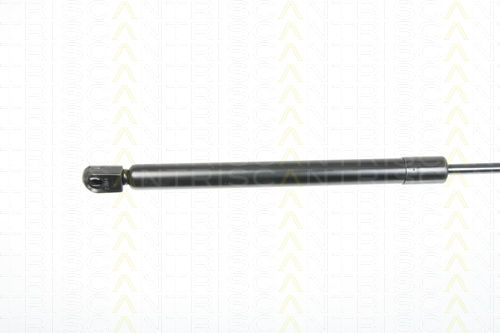 Triscan 8710 29281 Kofferraum-Schock Absorber