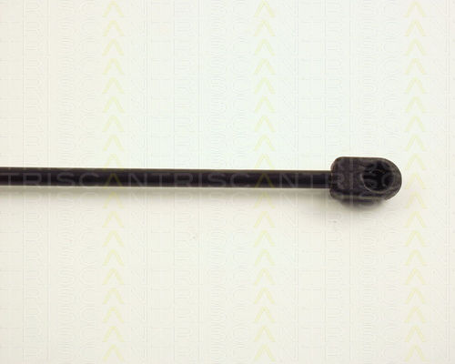 Triscan 8710 24202 Trunk Shock Absorber