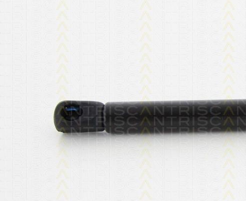 Triscan Hood Shock Absorber 8710 80102