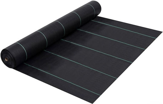 Grasher 22302256 Ύφασμα Εδαφοκάλυψης 100gr/m² 2x100m Μαύρο