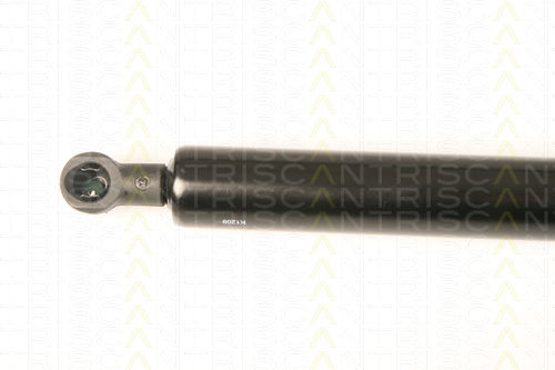 Triscan 8710 28238 Trunk Shock Absorber