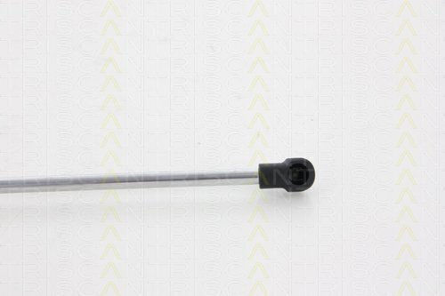 Triscan Trunk Shock Absorber 8710 13275