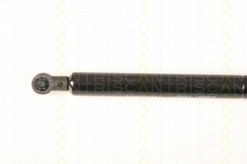 Triscan 8710 25249 Амортисьор За Багажник